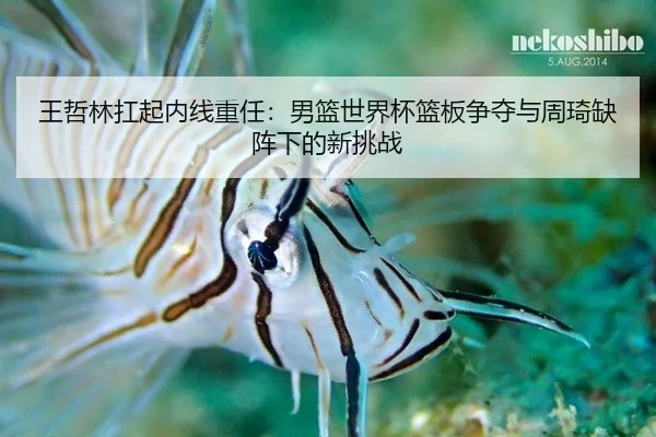 wang-zhe-lin-kang-qi-nei-xian-zhong-ren-nan-lan-shi-jie-bei-lan-ban-zheng-duo-yu-zhou-qi-que-zhen-xia-de-xin-tiao-zhan-2-896.jpg